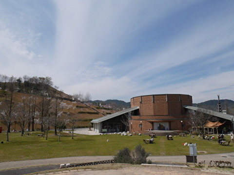 tmMs4VZbs50cAQ51587646466