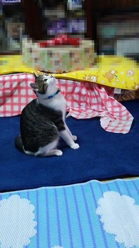 hDfPuqOc79GTjWq1692857591_1692857622