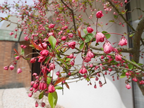 I03abK09Du7nNr81587991765