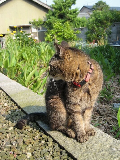 2dbe68db32c97987d83839f3c5d9b668