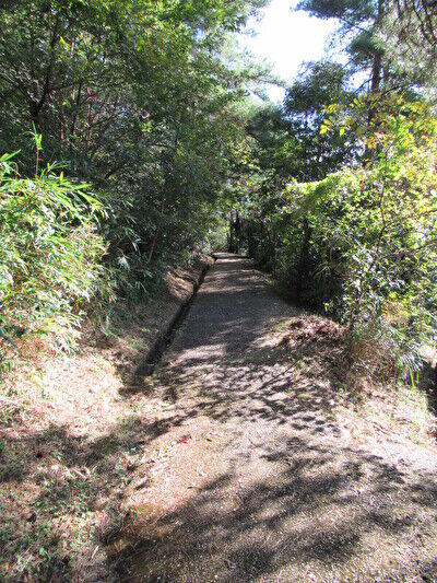 kL2dd7zLaj6HPet1668862055