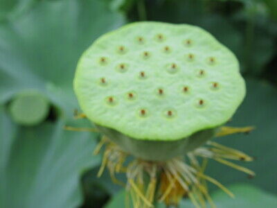 n65PL9kOGnmdH3i1658654649