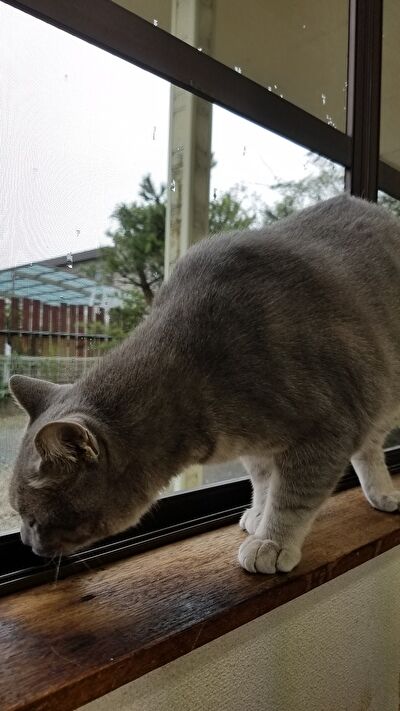 0E7HH7QRRBwQV9Y1632299368