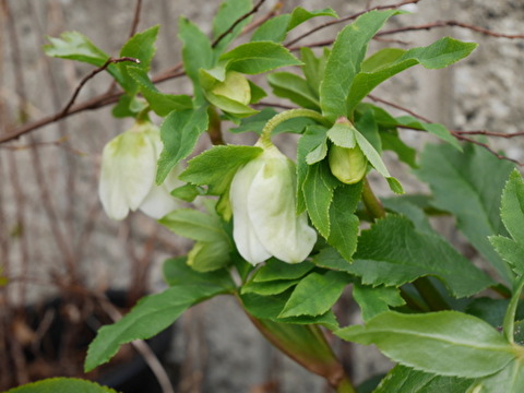 B5lJxG9tqg417RE1582671644