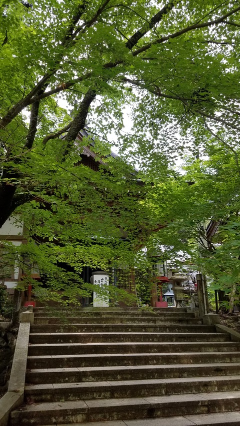 20260508_103016