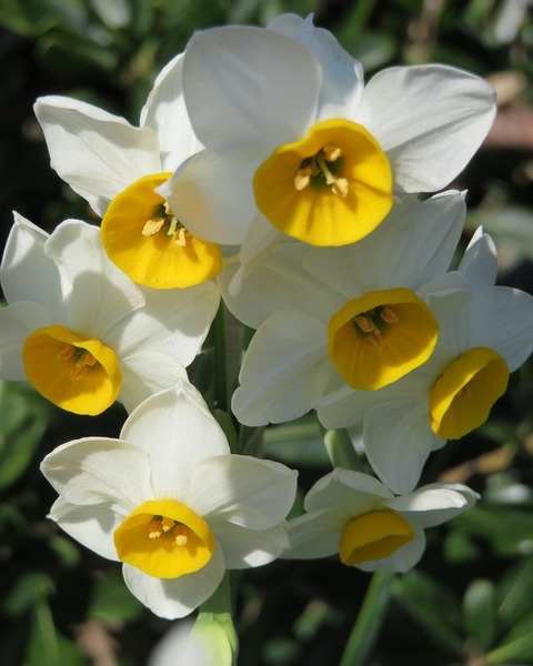 IMG_20161230_091843_083