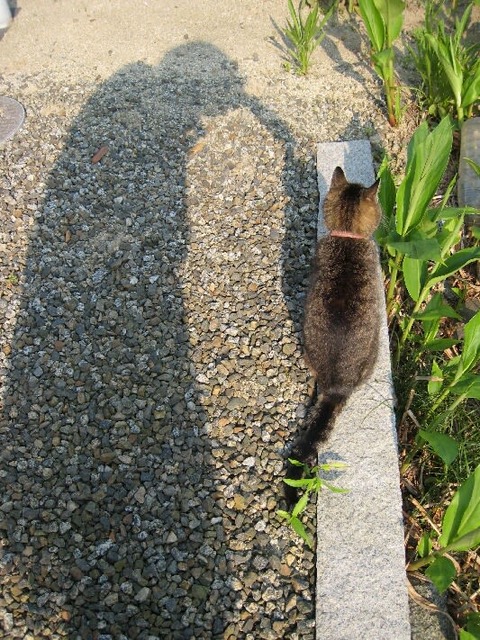 580111edfb712556a55c50085f8b10e7