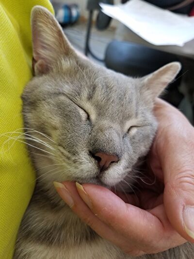 kEYZW3DDwztJrmc1623207598