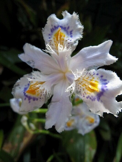 IMG_5265_20130504120934