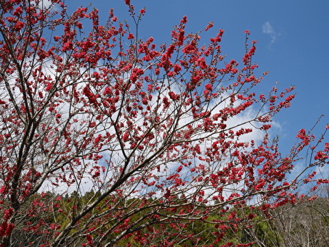 3HPC3dqLExn9RBi1584691828