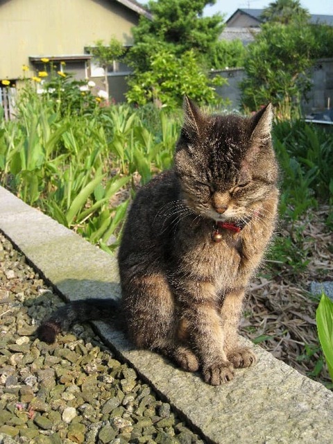 6ac7b329e8cd10b93972188b3da918a4