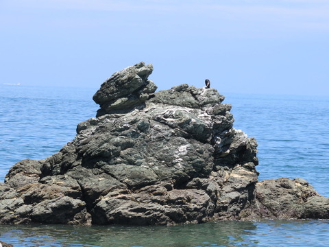 kGd9Otf7kwU8QPh1471774738