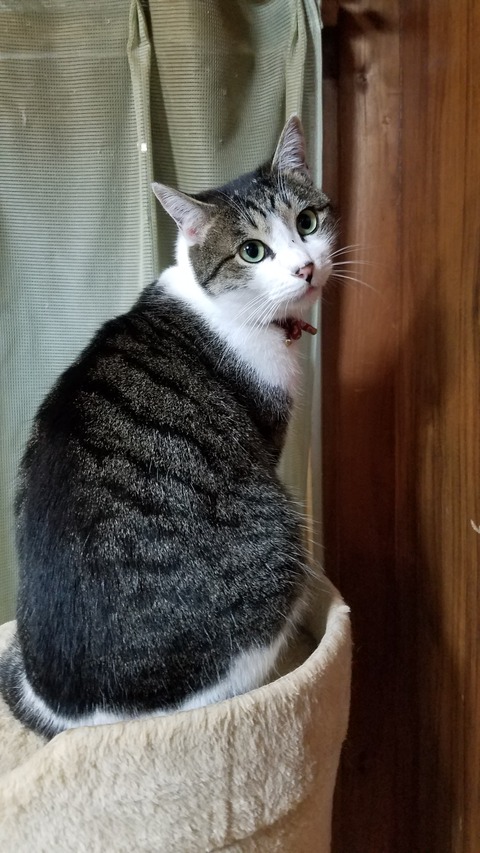 20241229_185903