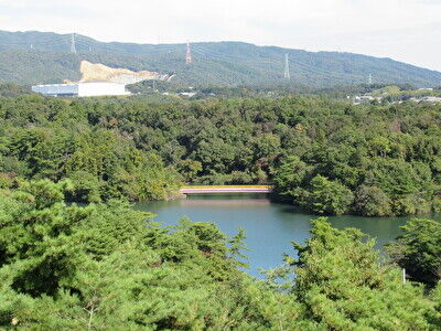 ddUFnrQOAVN2WMM1668861769