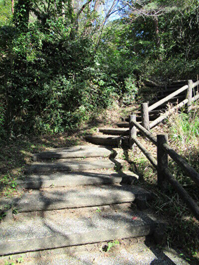 ZgOVFDOQoGiskNS1668861977