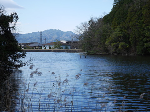 km2KOv5Ddvnlv6d1579267327