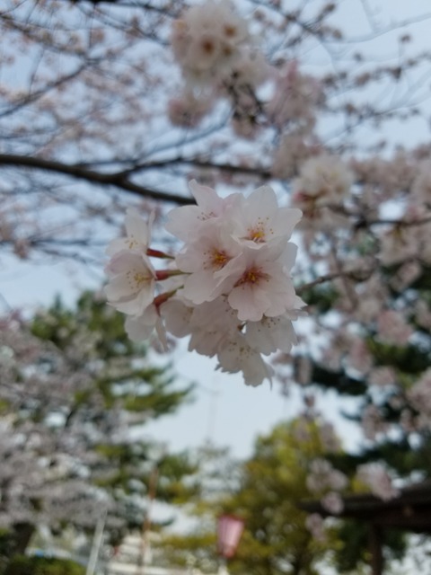 20210330_105159