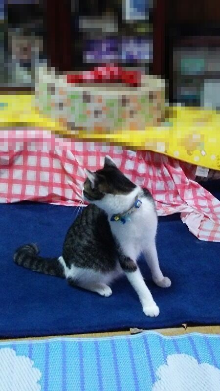 YDcBlWVeeXeBORT1692857902_1692857932