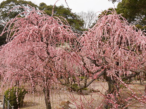 F0w6t2QMaxuoISX1582326271