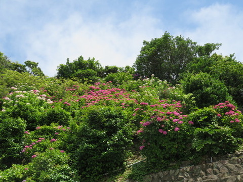 g2LiazTJ1aLlO6P1528375350