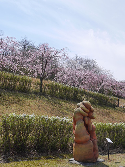 QeFfab2iMlenVE91587646572