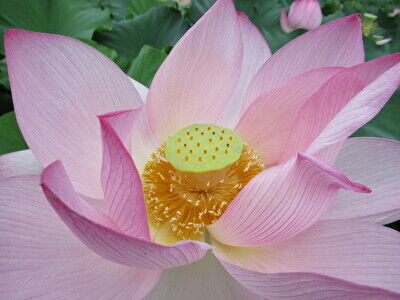 W34Uda3fj1Rfpcv1658651546