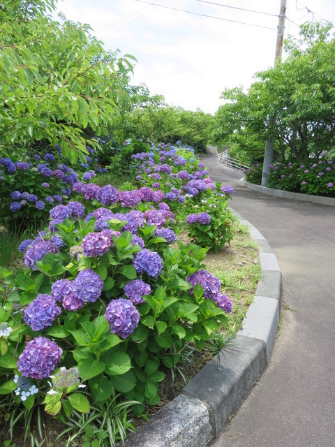 qjlvTOHnBwD7Rhe1528375146