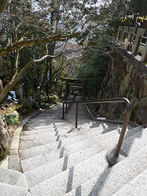 6BZX5yAaJMmW9aY1582203923