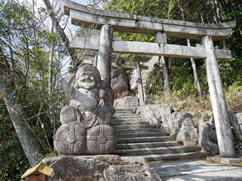 3WbfyXl9CES01za1582203814