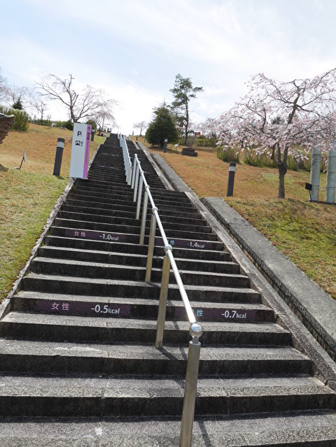 tRvM7Q5scNGUn0d1587991376