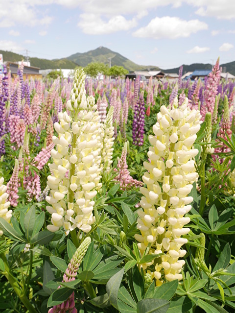 TbiBdxq6g6AZN4k1556799487