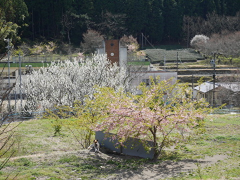 uAaVRhCzXBf8hty1584695788