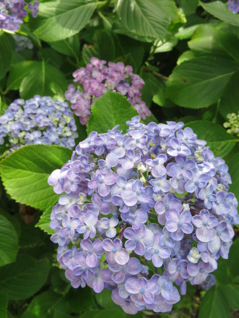 R1jt7AB1mfPw3gy1528375093