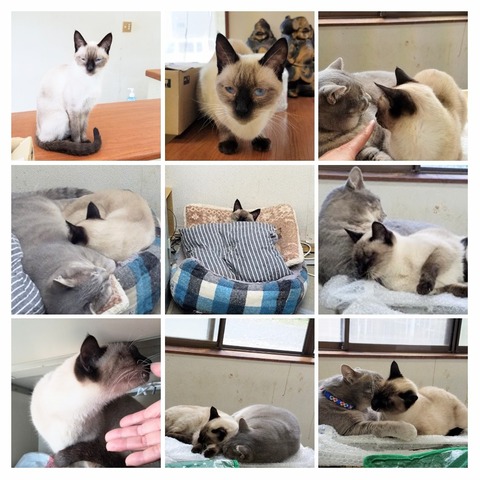 20220220_192105-COLLAGE