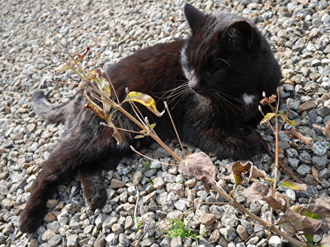 NPdqneAspW3xGNd1582671212