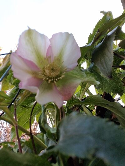 uQd7vZwYtE37vrm1643497940