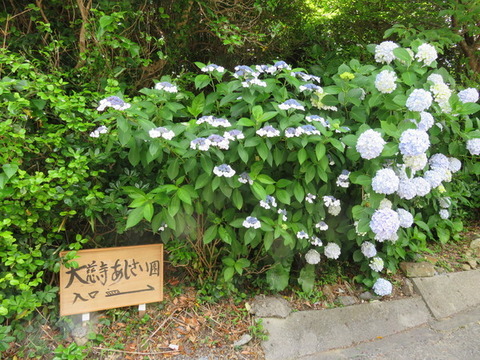 tooS4jWGyKfN5JP1528459499