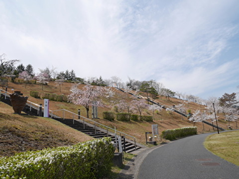 IcMu12MrDAbZ33y1587992042