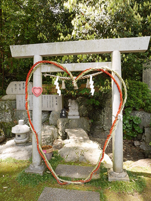 mcQwX8mZnpNxOr61591570328