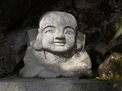 apf2Q51C5t0TJvg1582203880