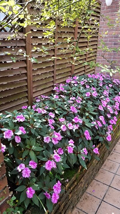 iQ8bnQcH7RTKZFa1631777918