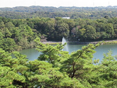 zfK1tFTMHikHznU1668861807