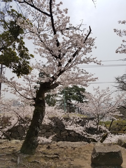 20210330_105950