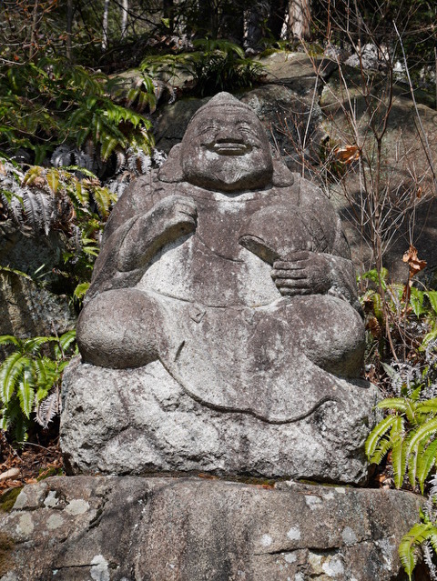 2V4lR7ReYvJwSgK1582203781