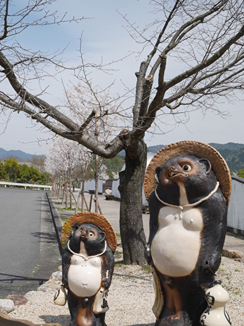 VrQszgGca7aGwcs1587646403