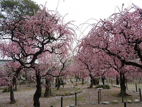 GXNCI72F6uOW4Kq1582326346