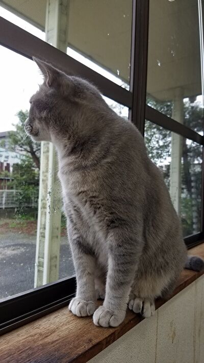 8LwDontL1sPwWOc1632299404