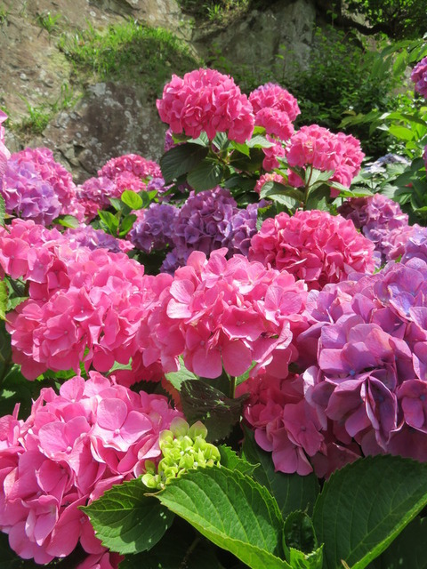 FomLJXaWN4qXbDl1528375287