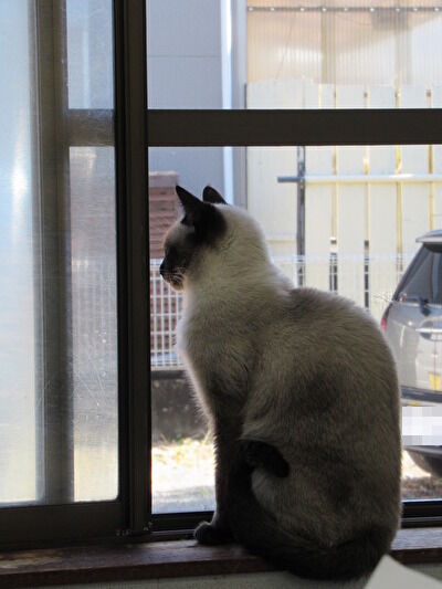 OyKusLOnLpHOadE1671415899_1671415966