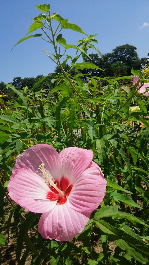 DSC_2741